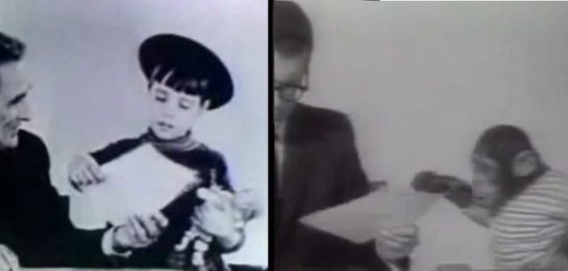 reclama-xerox-fetita-si-cimpanzeu-1-702×336