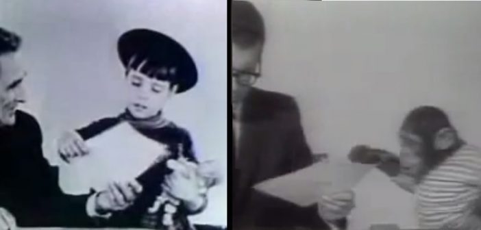 reclama-xerox-fetita-si-cimpanzeu-1-702×336