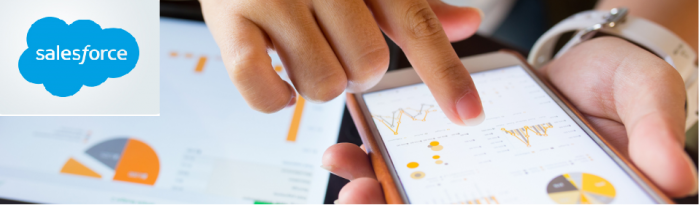 SalesForce Banner